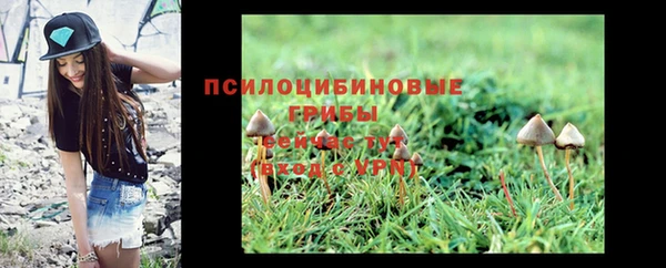 MDMA Premium VHQ Волоколамск