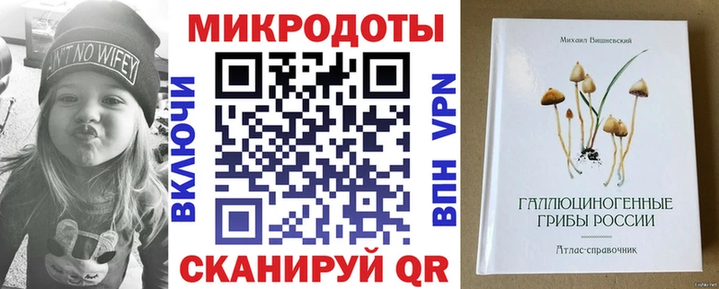 Галлюциногенные грибы Psilocybe  Купить закладки  Мышкин 